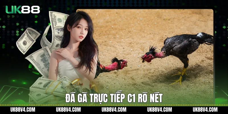 Đá Gà Trực Tiếp C1 UK88 Ổn Định, Rõ Nét Và Liền Mạch Đá gà trực tiếp C1 rõ nét