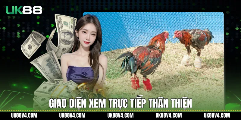 Đá Gà Trực Tiếp C1 UK88 Ổn Định, Rõ Nét Và Liền Mạch Giao diện xem trực tiếp thân thiện