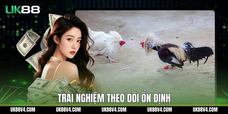 Đá Gà Trực Tiếp C1 UK88 Ổn Định, Rõ Nét Và Liền Mạch Trải nghiệm theo dõi ổn định